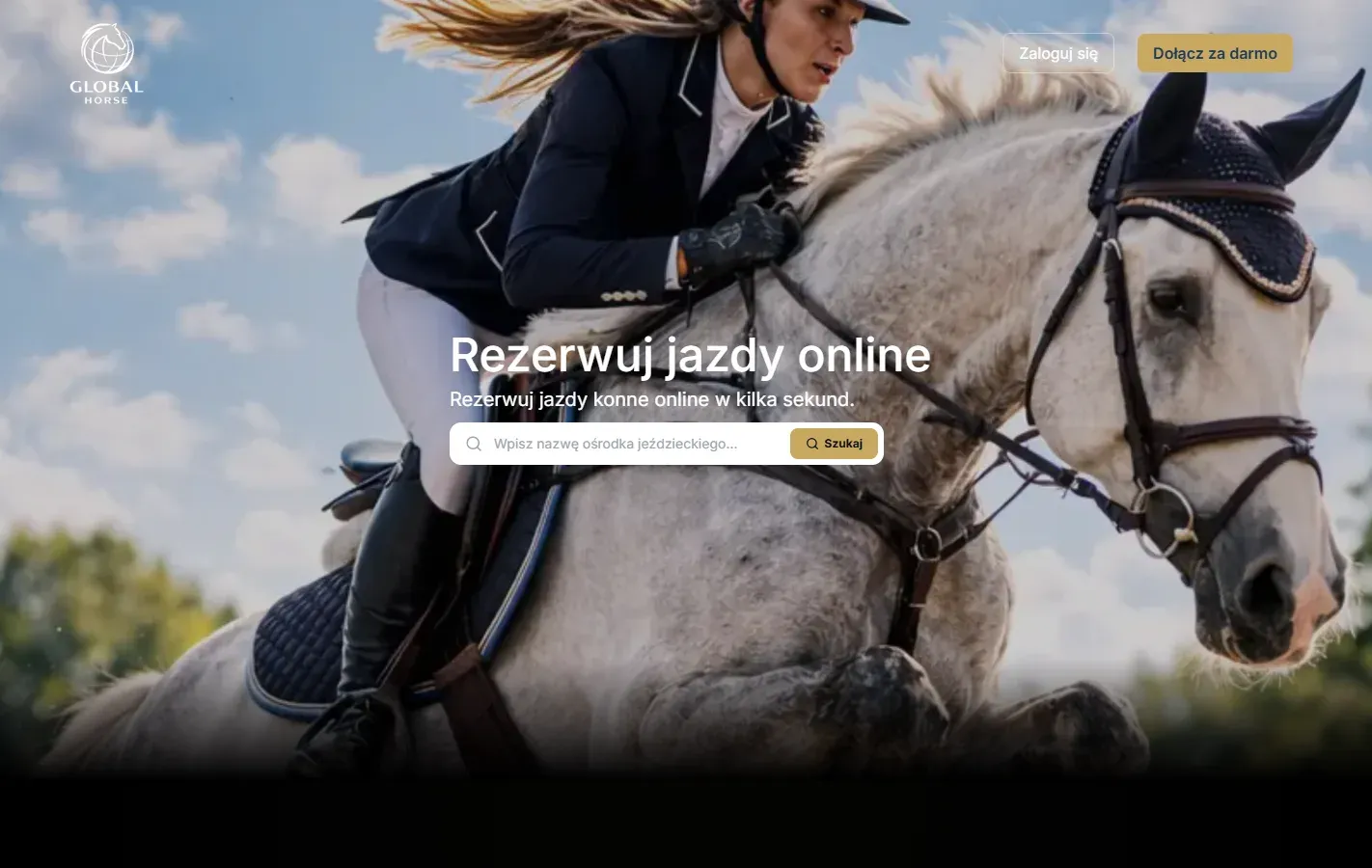 Podgląd realizacji Aplikacja Global Horse